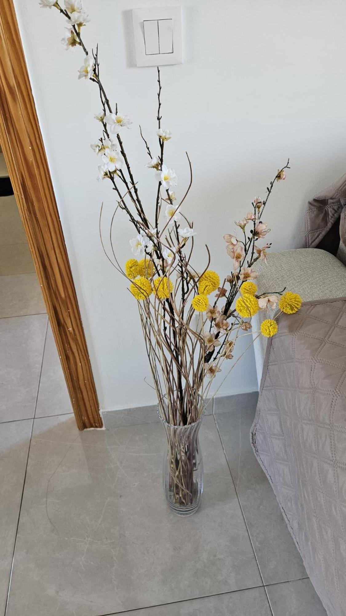 Elegante Apartamento En Playa De Gandia エクステリア 写真